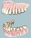 teeth01.gif